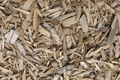 biomass boilers Carnan